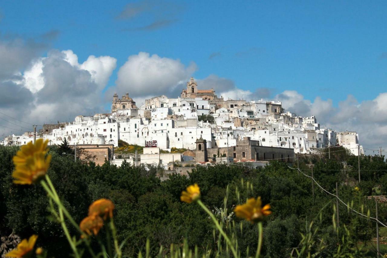 Appartamento Paola Marina Di Ostuni Villanova di Ostuni Zewnętrze zdjęcie
